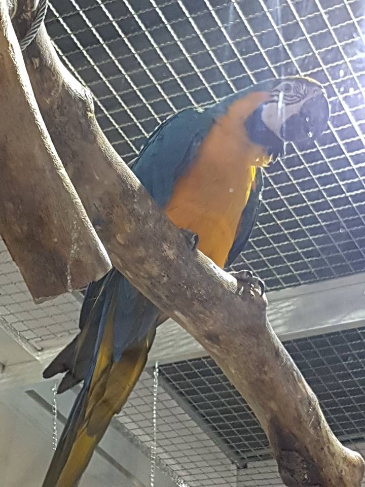 Biggest pet shop in the world